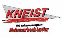 Kneist Logo
